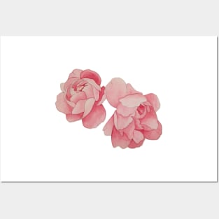 peonies Posters and Art